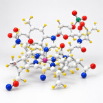 Molecular Model